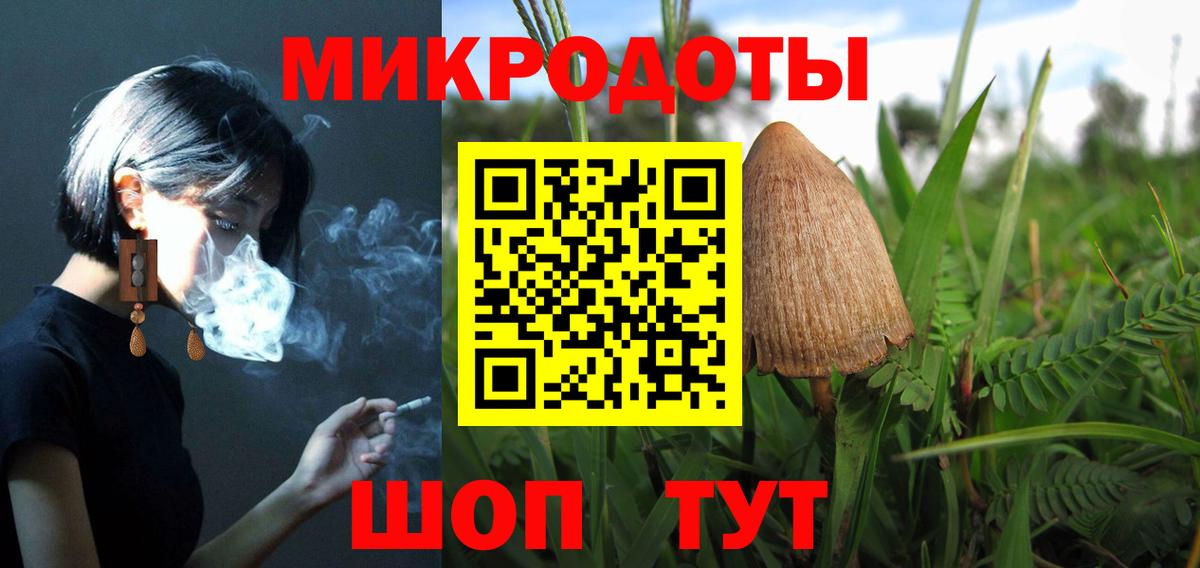 Псилоцибиновые грибы Psilocybine cubensis Орехово-Зуево