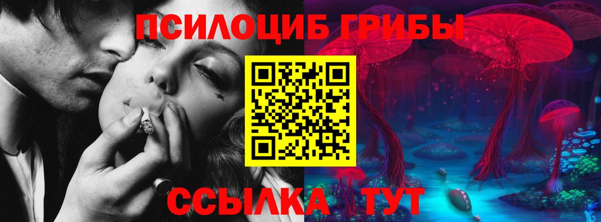 Псилоцибиновые грибы мухоморы  Вход с VPN  Орехово-Зуево  Галлюциногенные грибы мухоморы 